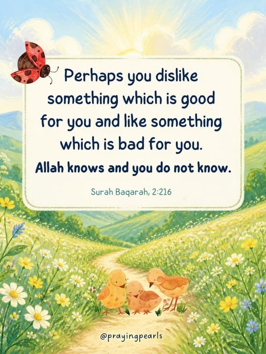 Surah Baqarah 2:216: Allah knows and you do not know